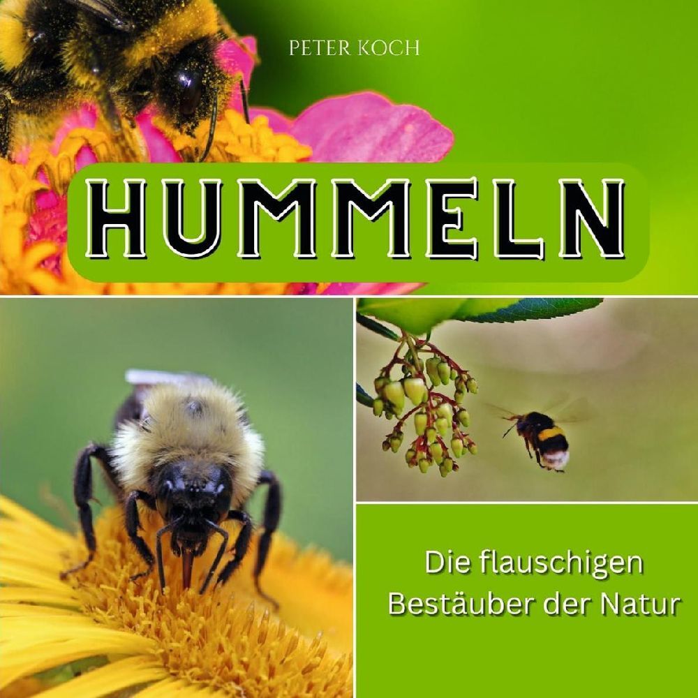 Cover: 9783750562929 | Hummeln | Die flauschigen Bestäuber der Natur | Peter Koch | Buch