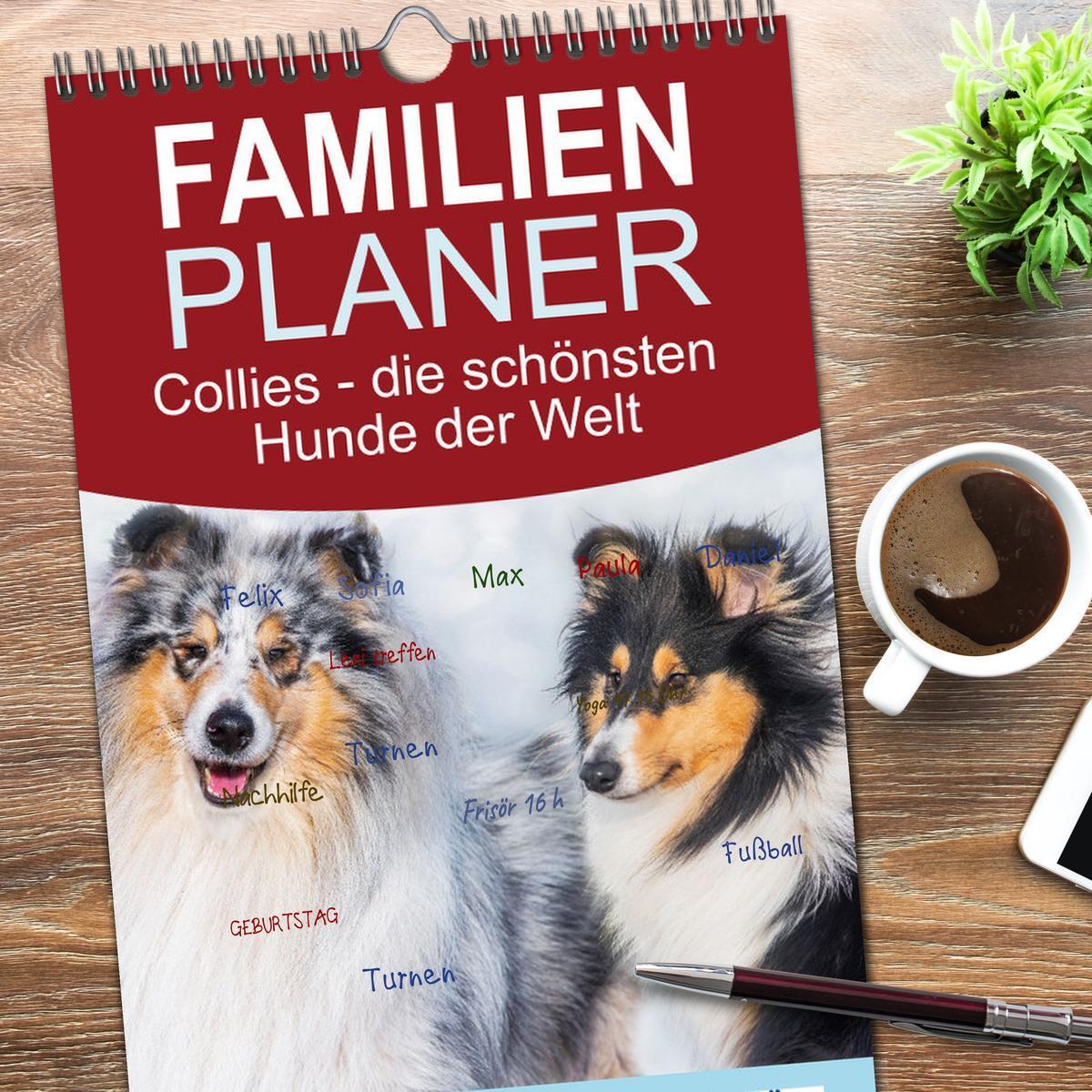 Bild: 9783457090701 | Familienplaner 2025 - Collies - die schönsten Hunde der Welt mit 5...