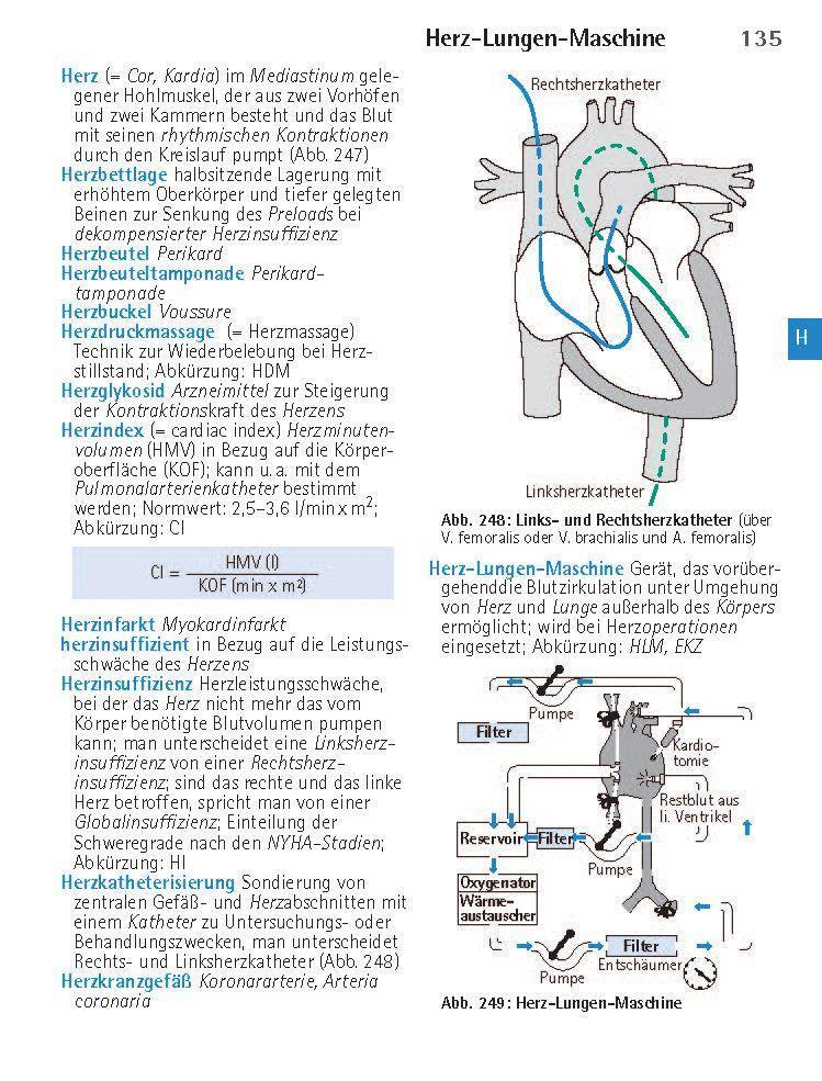 Bild: 9783898628365 | Wörterbuch Medizin pocket : Kleines Lexikon - medizinische...