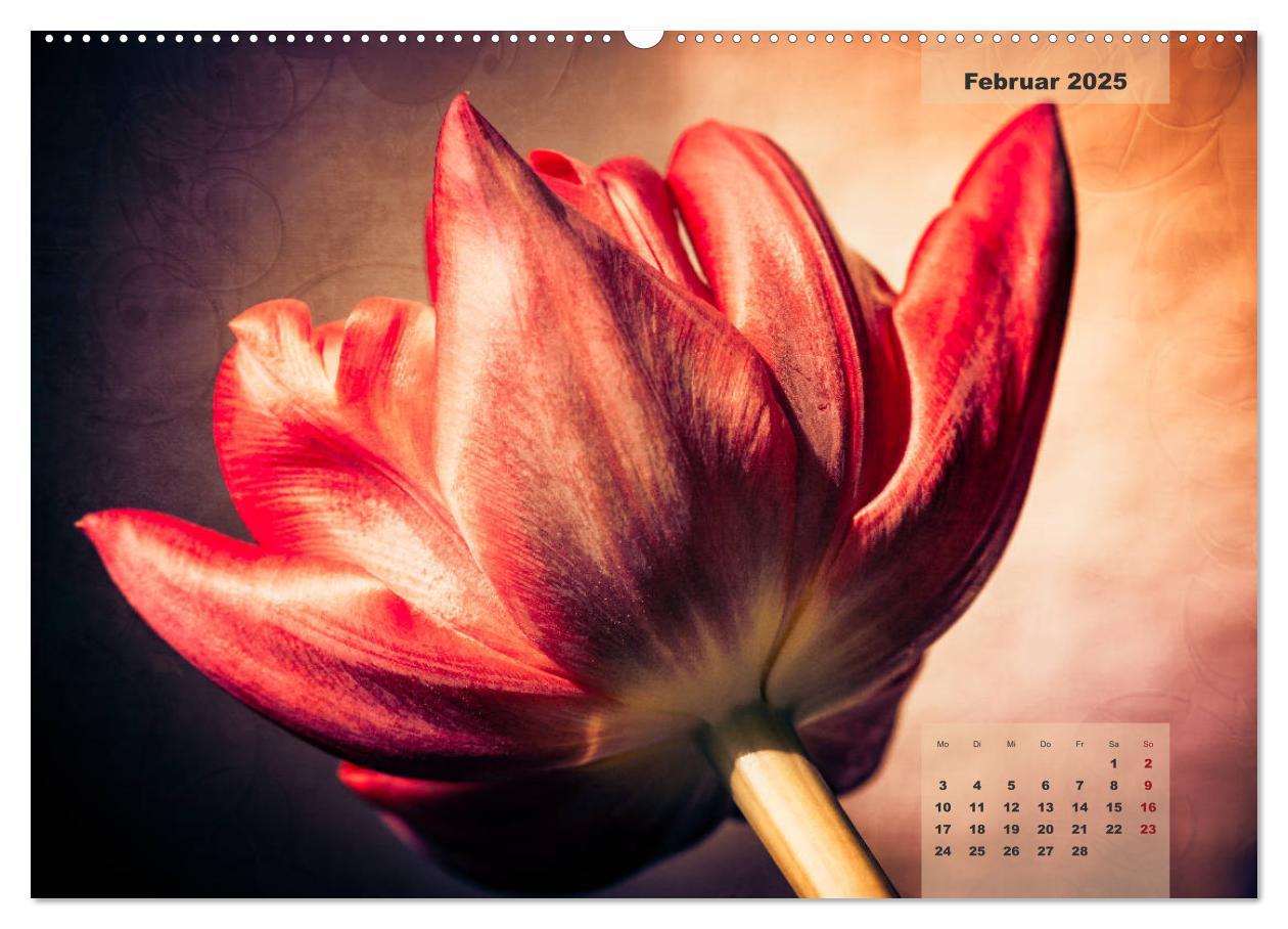 Bild: 9783435304523 | Blüten im Retro-Style (Wandkalender 2025 DIN A2 quer), CALVENDO...