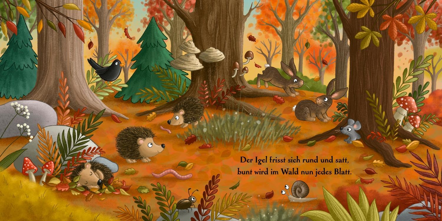 Bild: 9783751203784 | Es wird Herbst hier im Wald | Henrike Lippa | Buch | 16 S. | Deutsch