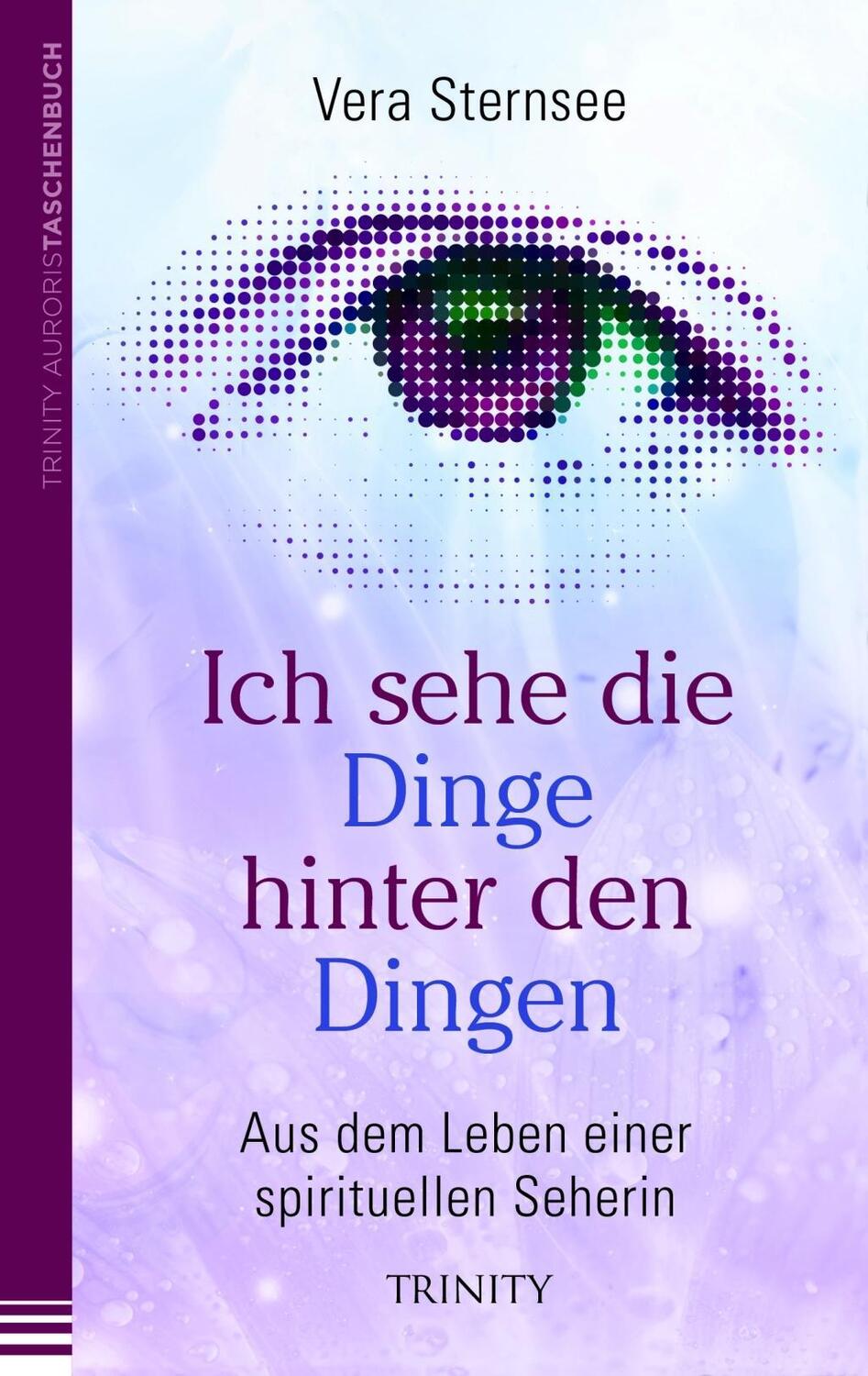 Cover: 9783955500382 | Ich sehe die Dinge hinter den Dingen | Vera Sternsee | Taschenbuch