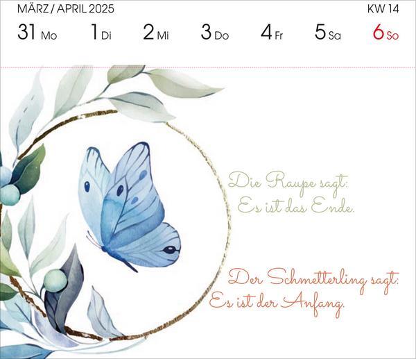 Bild: 9783731876809 | Visual Words Aquarell 2025 | Verlag Korsch | Kalender | Spiralbindung