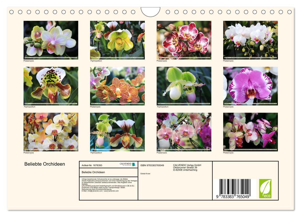 Bild: 9783383765049 | Beliebte Orchideen (Wandkalender 2025 DIN A4 quer), CALVENDO...