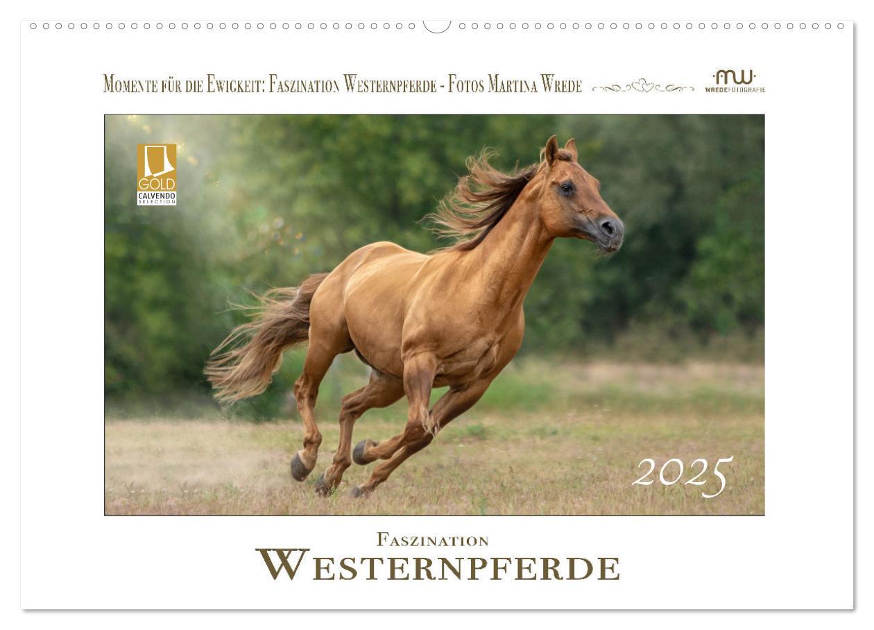 Cover: 9783435086788 | Faszination Westernpferde (Wandkalender 2025 DIN A2 quer), CALVENDO...