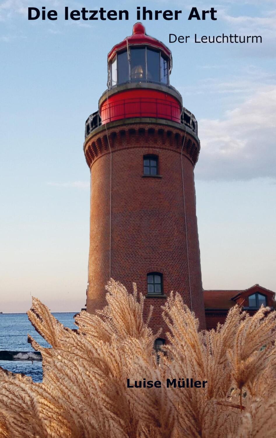 Cover: 9789403704142 | Die letzten ihrer Art | Der Leuchtturm | Luise Müller | Taschenbuch