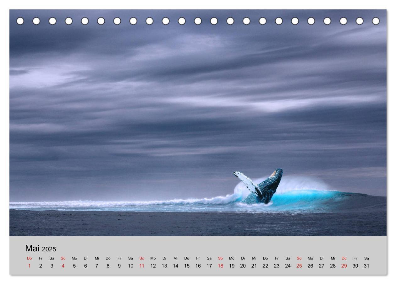 Bild: 9783435316274 | Am Meer. Sehnsucht Wasser (Tischkalender 2025 DIN A5 quer),...