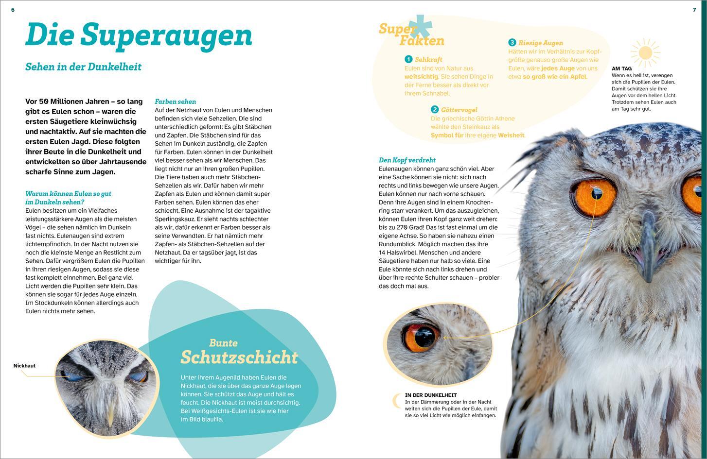 Bild: 9783788677039 | WAS IST WAS Eulen. Jäger mit Supersinnen | Tanja Brandt | Buch | 48 S.