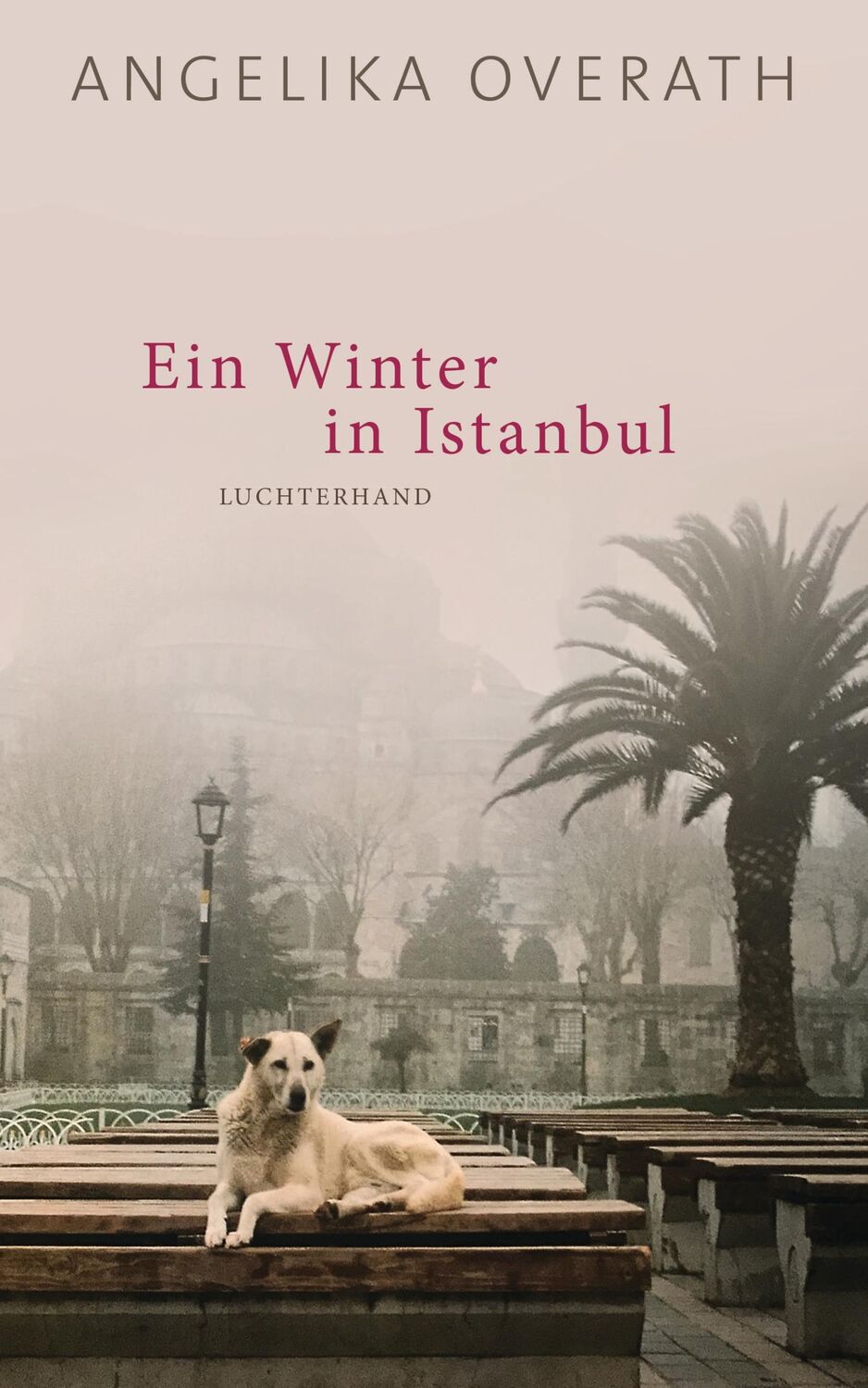 Cover: 9783630875347 | Ein Winter in Istanbul | Roman | Angelika Overath | Buch | 272 S.