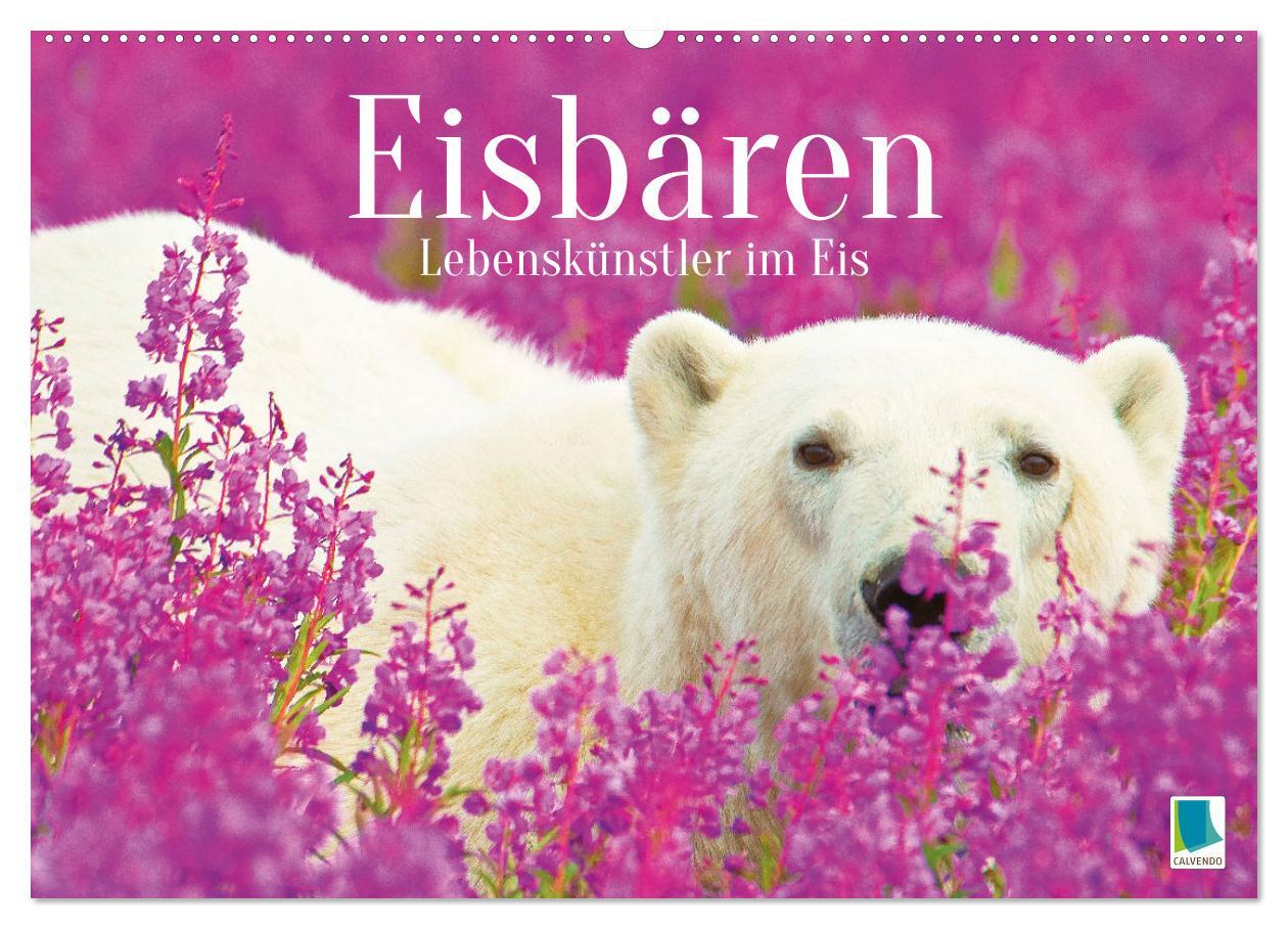 Cover: 9783457140482 | Eisbären: Lebenskünstler im Eis (Wandkalender 2025 DIN A2 quer),...