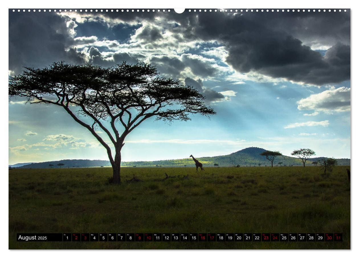 Bild: 9783435341719 | Tansania - Tierwanderung in der Serengeti (Wandkalender 2025 DIN A2...