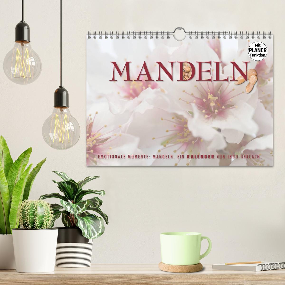 Bild: 9783435546091 | Emotionale Momente: Mandeln (Wandkalender 2025 DIN A4 quer),...