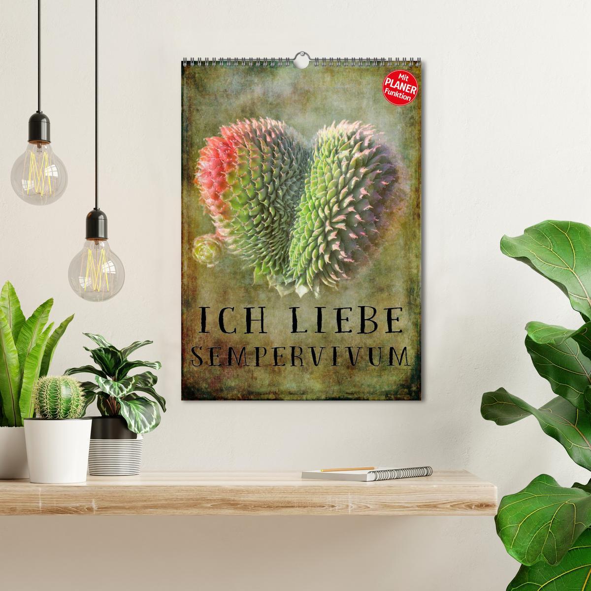 Bild: 9783457021675 | Ich liebe Sempervivum (Wandkalender 2025 DIN A3 hoch), CALVENDO...