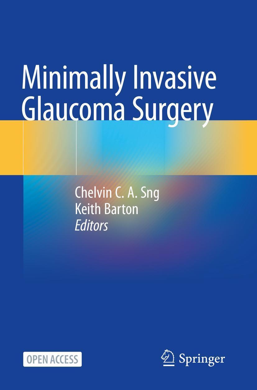 Cover: 9789811556340 | Minimally Invasive Glaucoma Surgery | Chelvin C a Sng (u. a.) | Buch