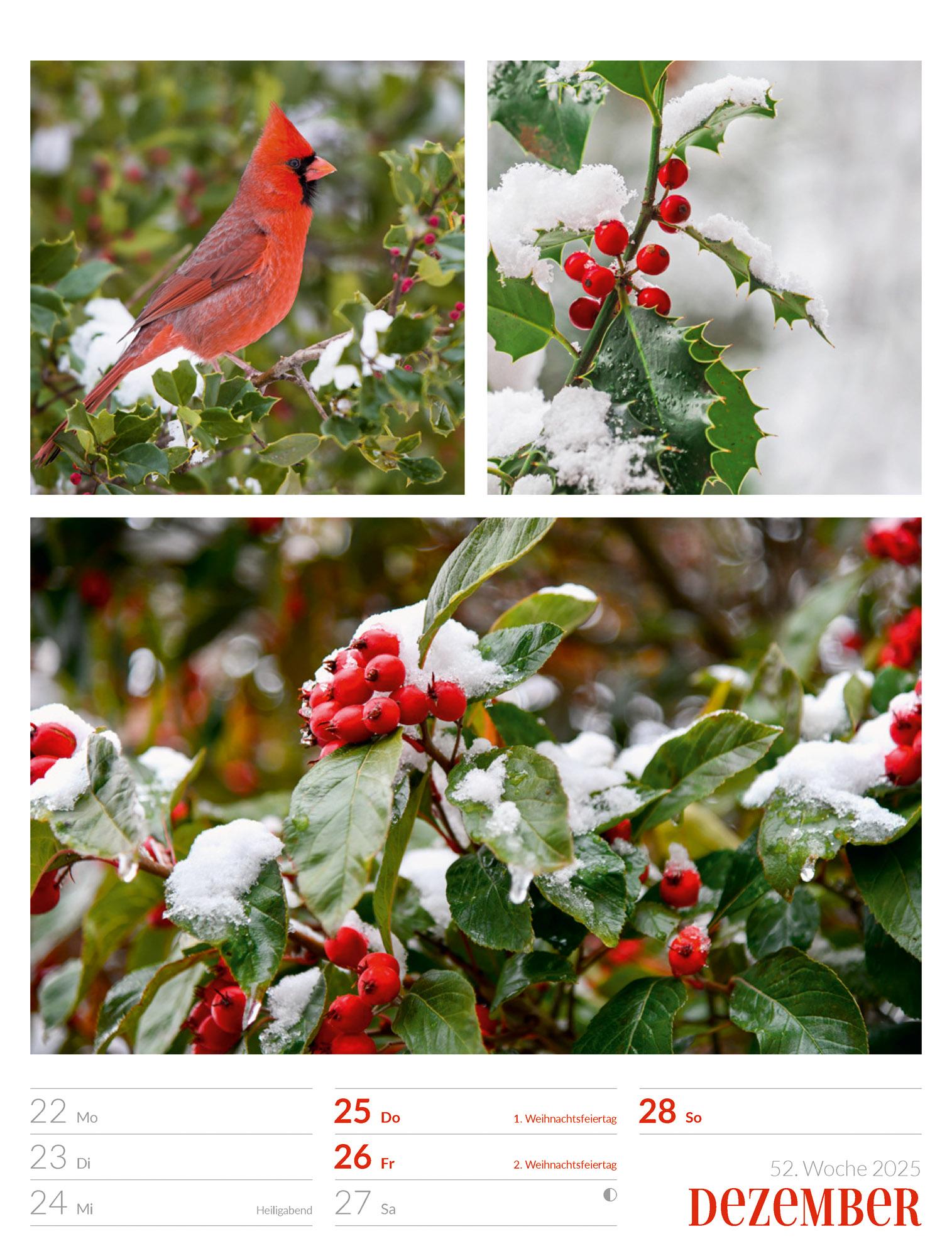 Bild: 9783838425818 | Farben der Natur - Wochenplaner Kalender 2025 | Ackermann Kunstverlag