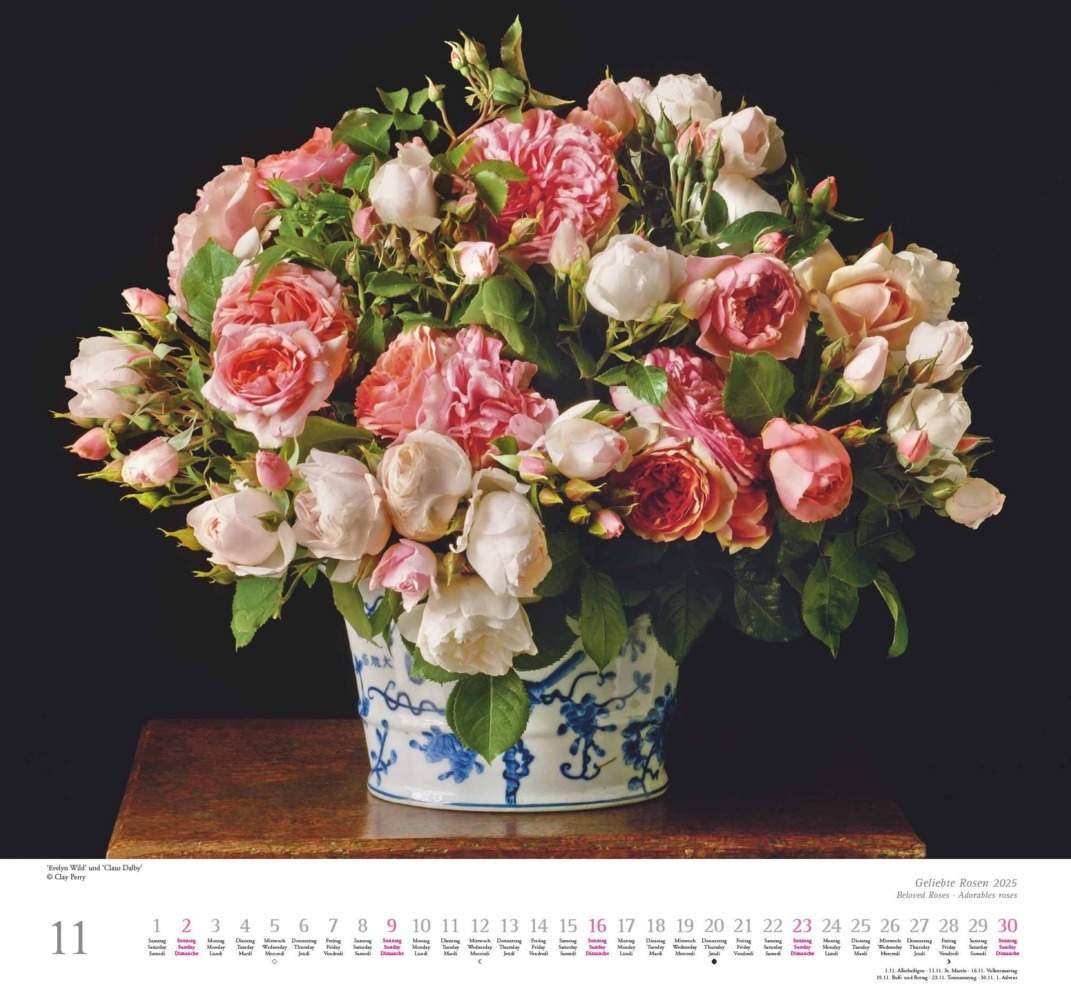 Bild: 4250809653082 | DUMONT - Geliebte Rosen 2025 Wandkalender, 30x30cm, Kalender mit...