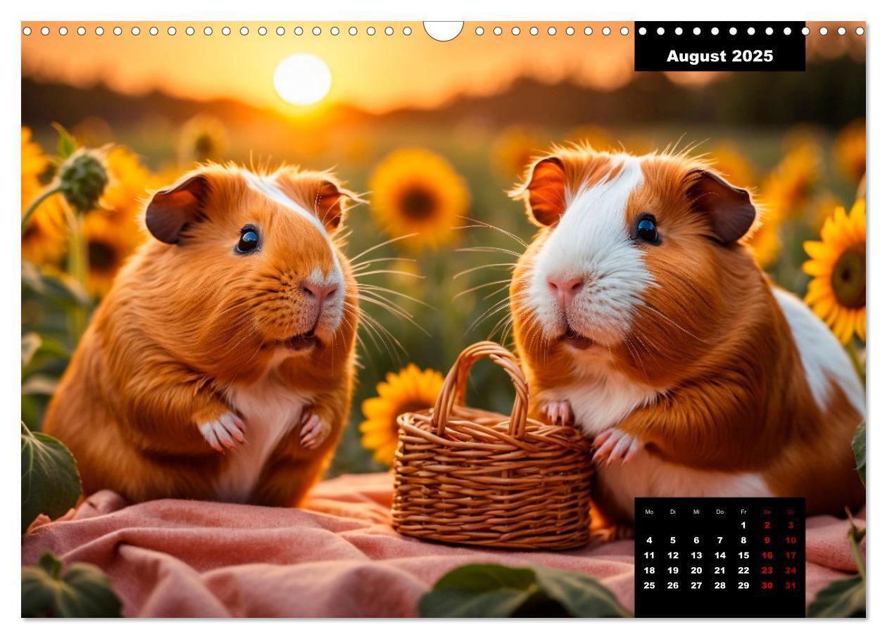 Bild: 9783435012527 | Meerschweinchen mal anders! (Wandkalender 2025 DIN A3 quer),...