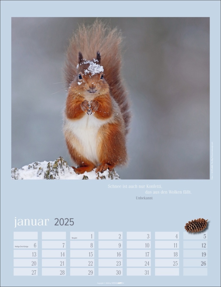 Bild: 9783839900758 | Eichhörnchen Kalender 2025 | Kalender | Spiralbindung | 14 S. | 2025