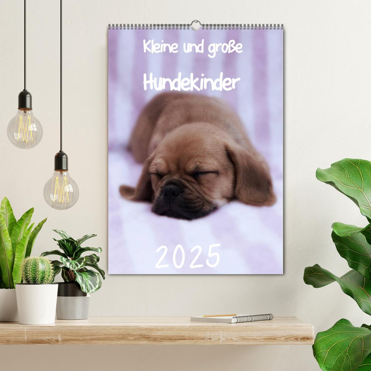 Bild: 9783457061992 | Kleine und große Hundekinder 2025 (Wandkalender 2025 DIN A2 hoch),...