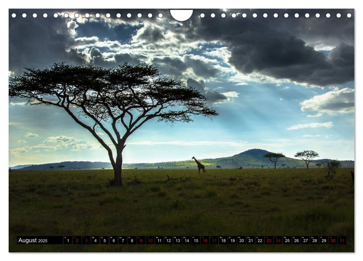 Bild: 9783435342563 | Tansania - Tierwanderung in der Serengeti (Wandkalender 2025 DIN A4...