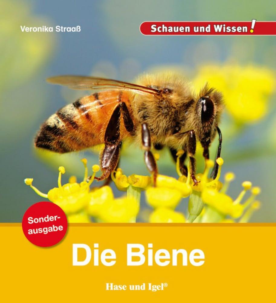 Cover: 9783867605816 | Die Biene / Sonderausgabe | Schauen und Wissen! | Veronika Straaß