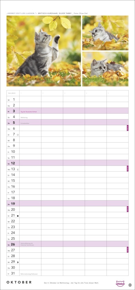 Bild: 9783756405831 | Whiskas Familienplaner 2025 | Kalender | Spiralbindung | 14 S. | 2025