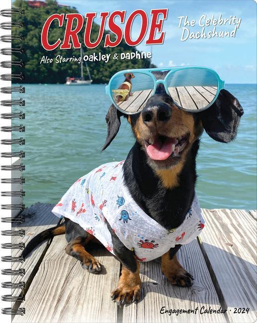 Cover: 9781549237843 | Crusoe the Celebrity Dachshund 2024 6.5 X 8.5 Engagement Calendar