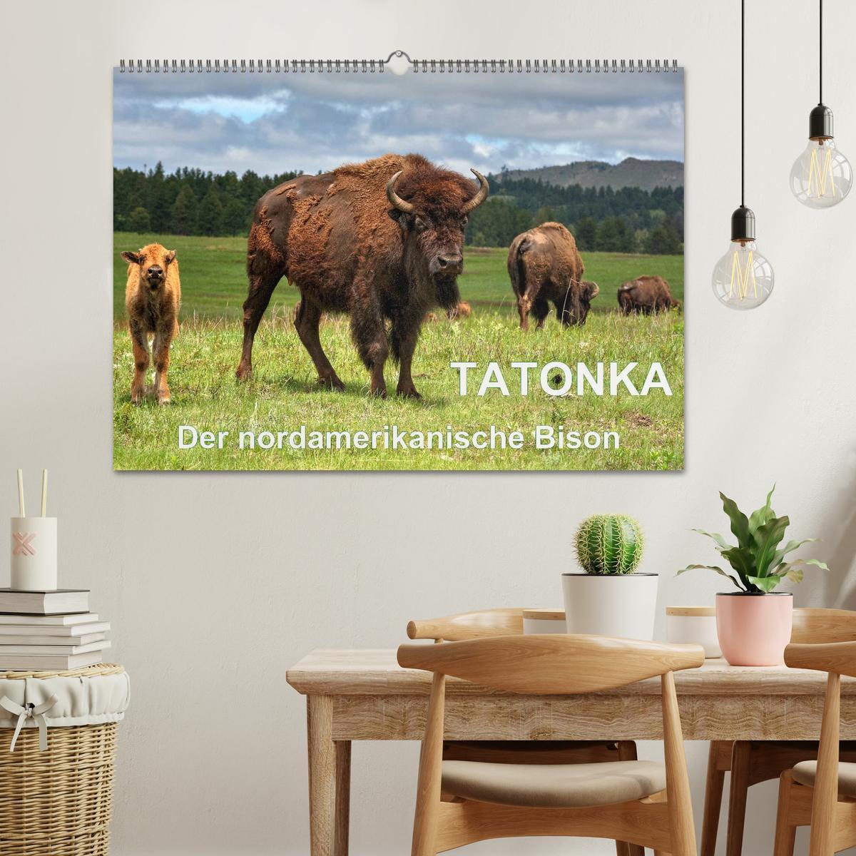 Bild: 9783435602872 | TATONKA Der nordamerikanische Bison (Wandkalender 2025 DIN A2...