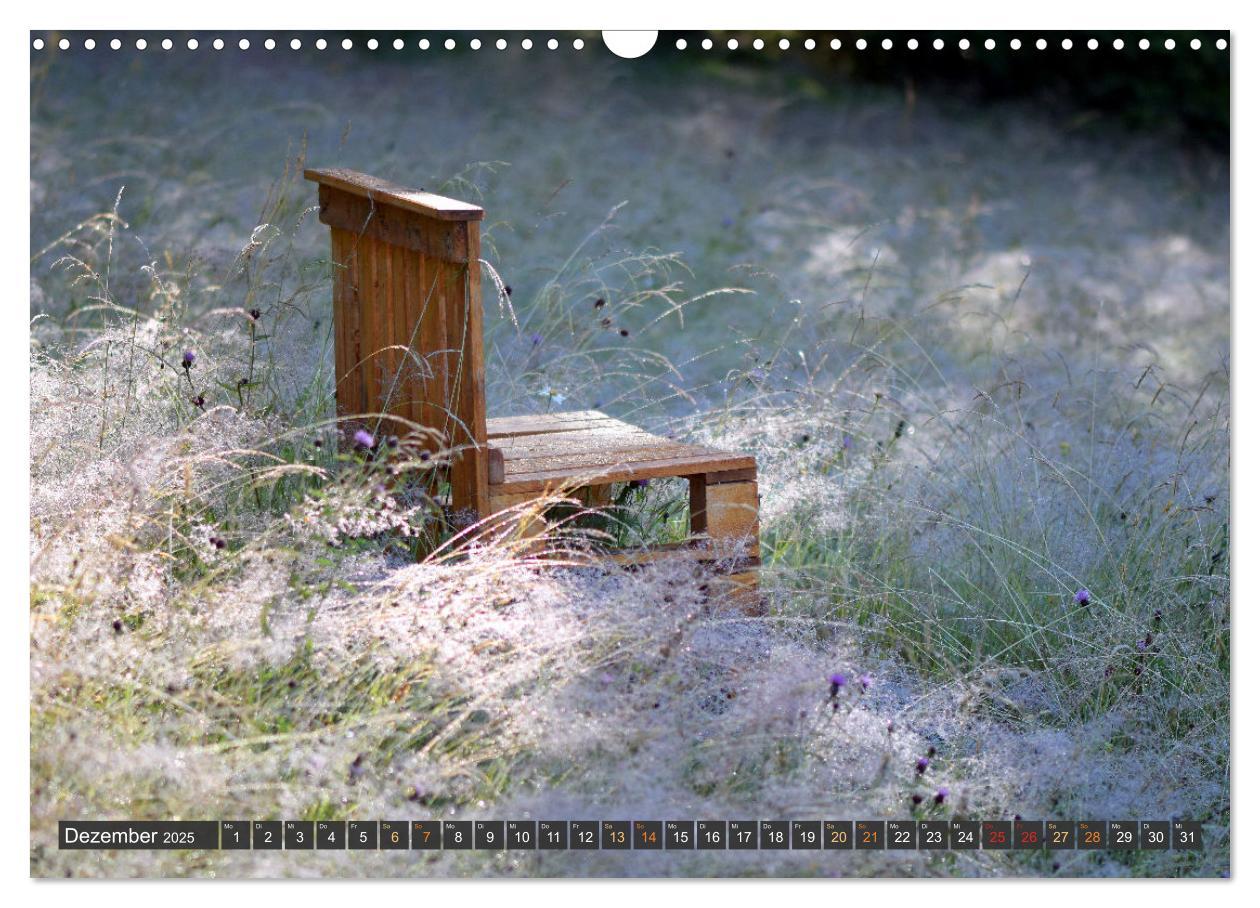 Bild: 9783383953361 | Taufrisch ... am frühen Morgen in der Wiese (Wandkalender 2025 DIN...