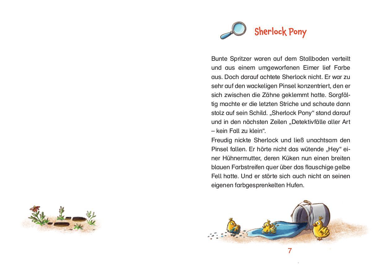 Bild: 9783780664273 | Ein Fall für Sherlock Pony | Ein Pferdekrimi | Kristin Lückel | Buch