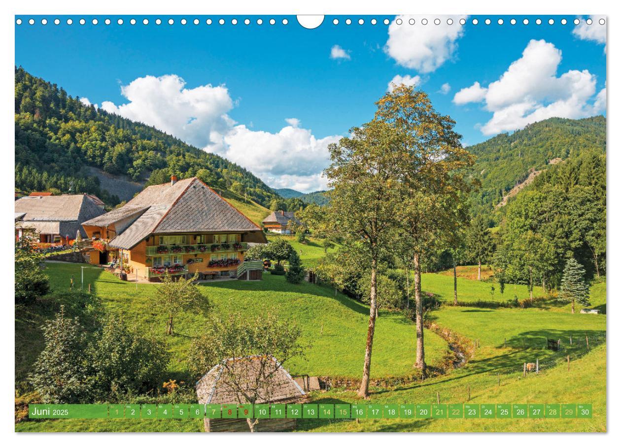 Bild: 9783435468416 | Schwarzwald - Märchenwald (Wandkalender 2025 DIN A3 quer), CALVENDO...