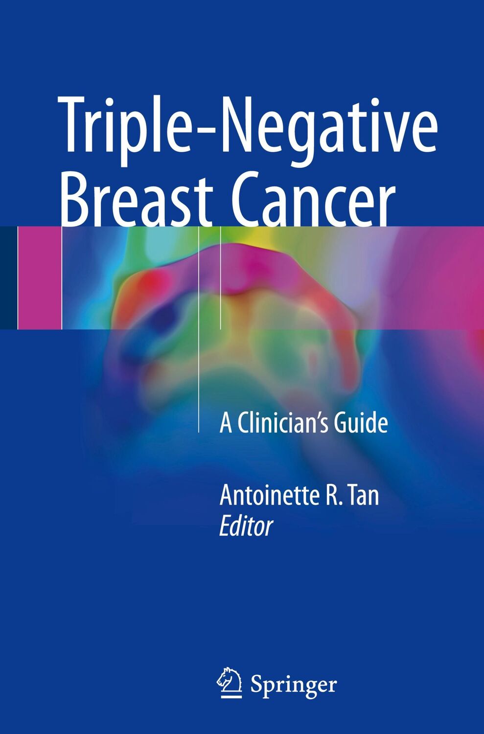 Cover: 9783319699790 | Triple-Negative Breast Cancer | A Clinician¿s Guide | Tan | Buch | xvi