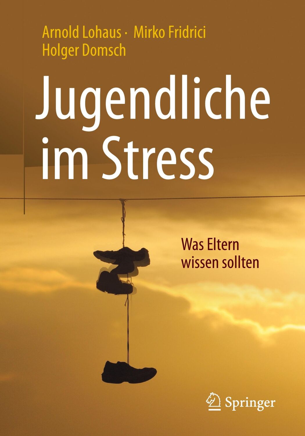 Cover: 9783662528600 | Jugendliche im Stress | Was Eltern wissen sollten | Lohaus (u. a.) | x