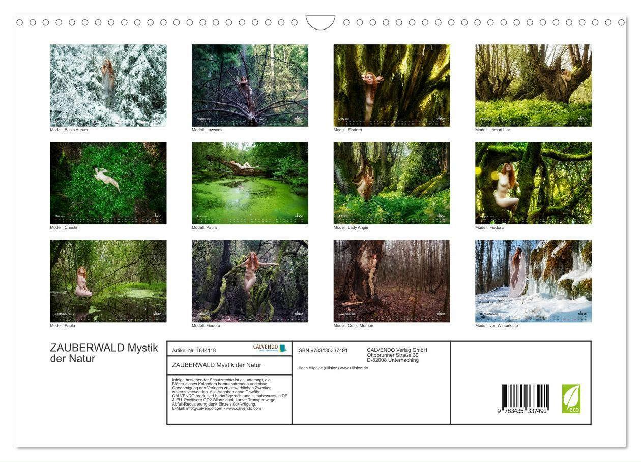 Bild: 9783435337491 | ZAUBERWALD Mystik der Natur (Wandkalender 2025 DIN A3 quer),...