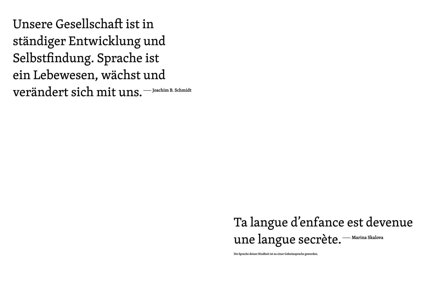 Bild: 9783954766314 | Wie Sprache die Welt erfindet | Damian Jurt | Buch | 288 S. | Deutsch