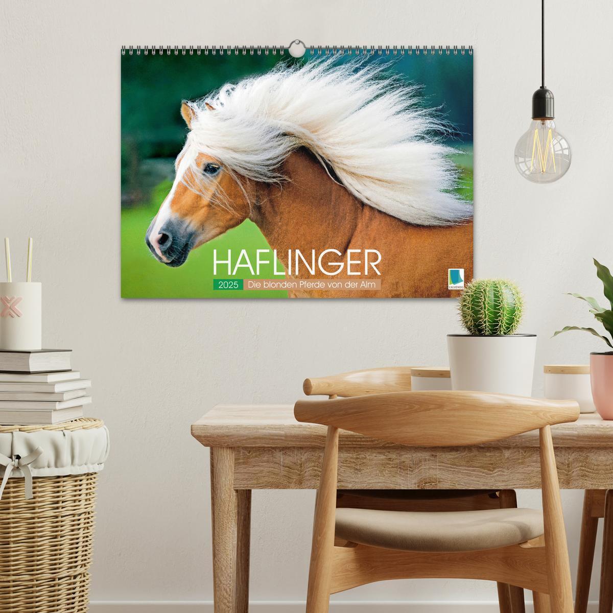 Bild: 9783457184998 | Haflinger: Die blonden Pferde von der Alm (Wandkalender 2025 DIN A3...