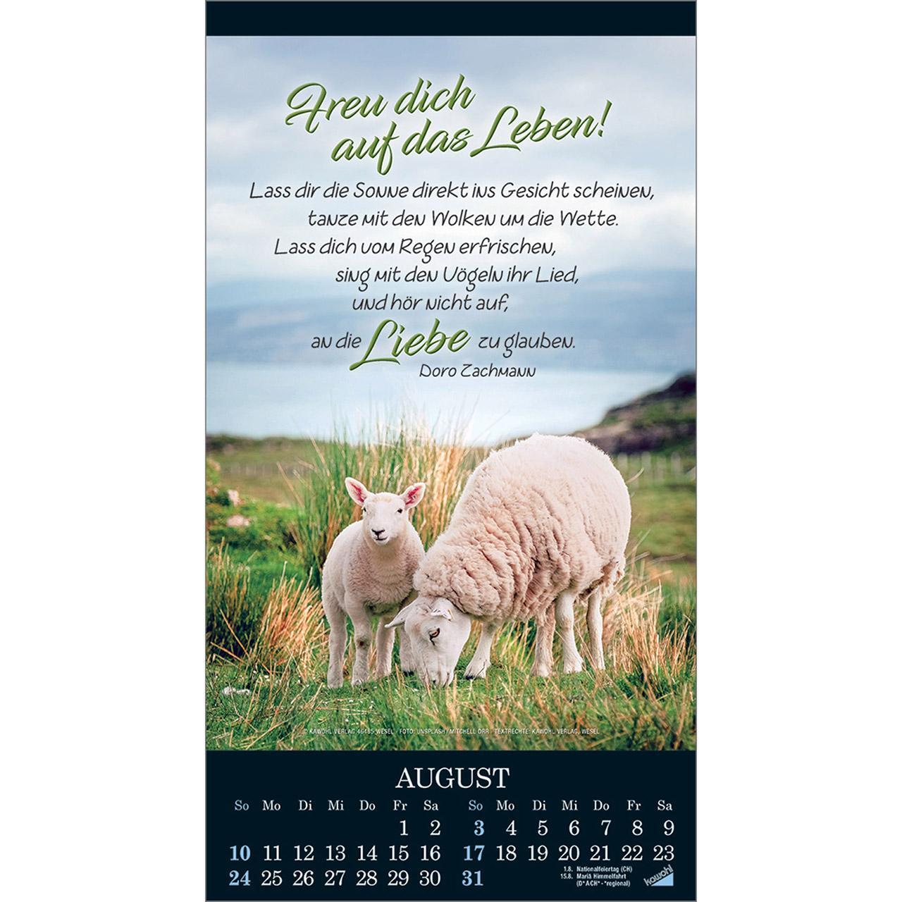 Bild: 9783754855058 | Die Wunder deiner Werke 2025 | Besinnungskalender | Kalender | 14 S.