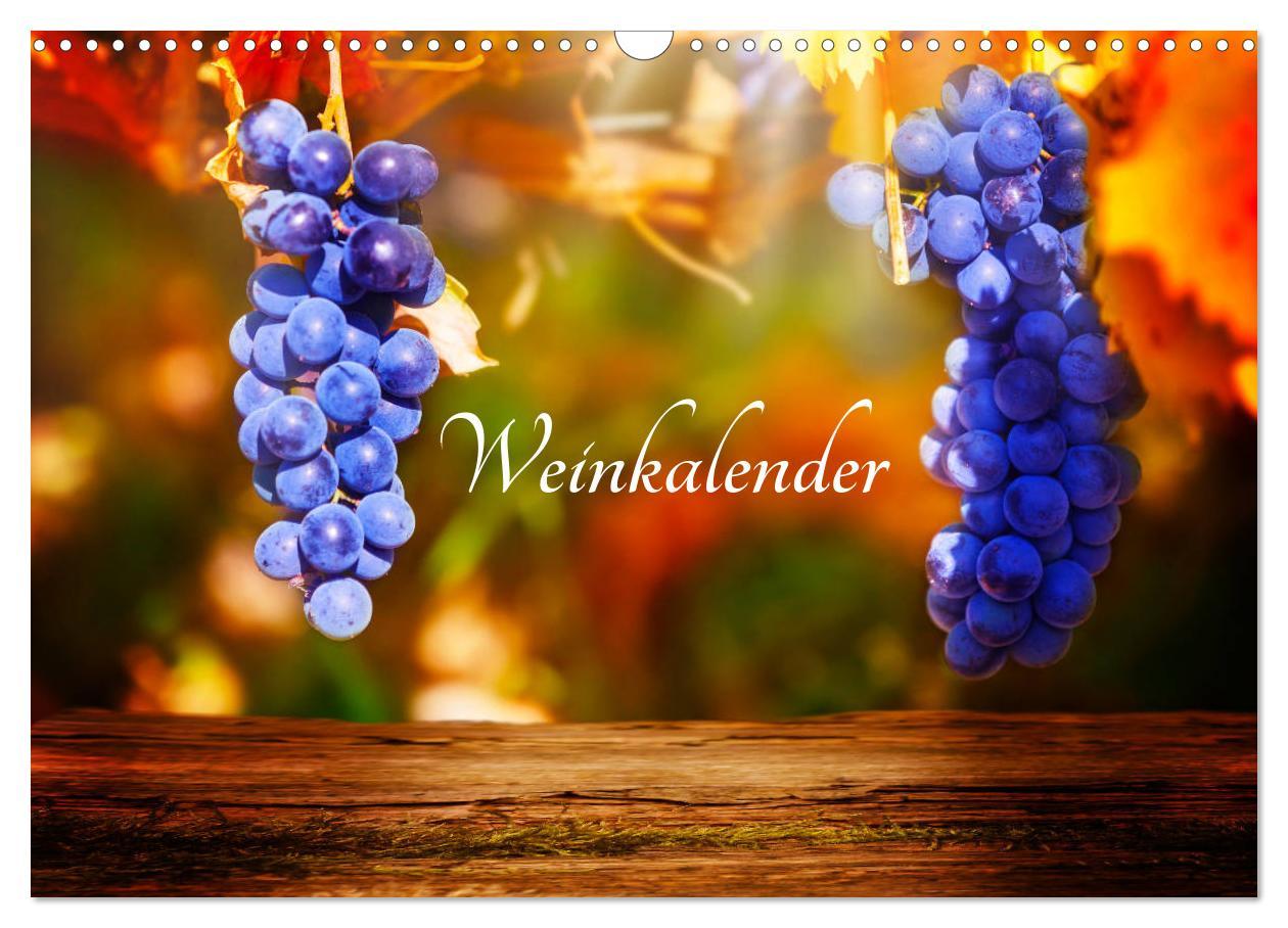 Cover: 9783435404643 | Weinkalender (Wandkalender 2025 DIN A3 quer), CALVENDO Monatskalender