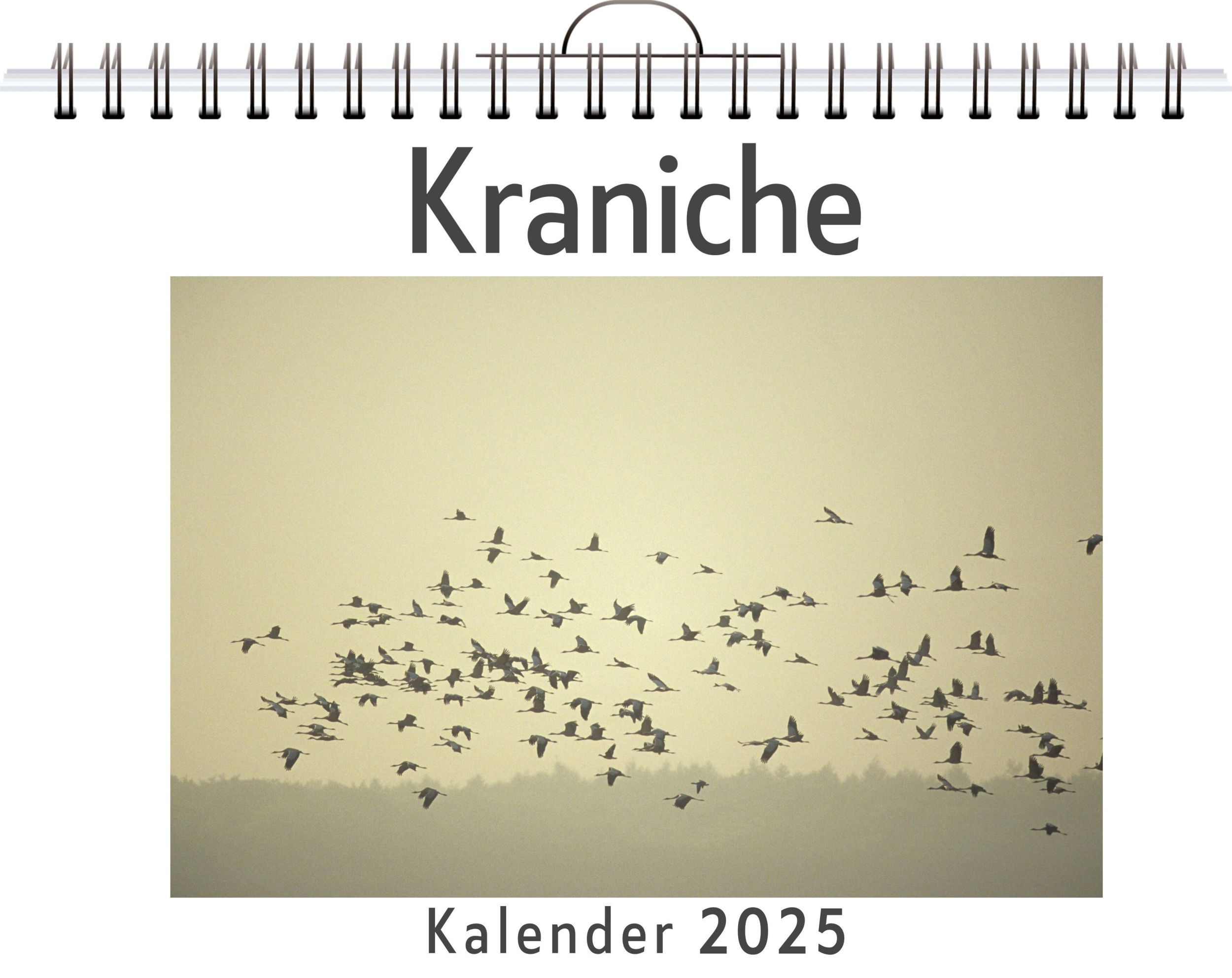 Cover: 9783759134165 | Kraniche | Lucy Möller | Kalender | Kalender | 14 S. | Deutsch