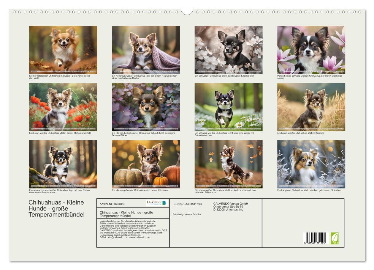 Bild: 9783383811593 | Chihuahuas - Kleine Hunde - große Temperamentbündel (Wandkalender...