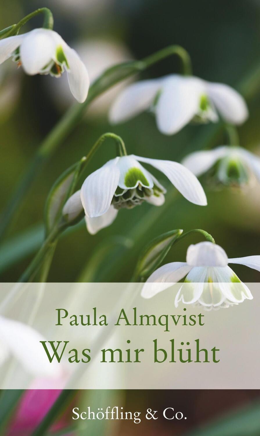 Cover: 9783895615962 | Was mir blüht | Gartenkolumnen | Paula Almqvist | Buch | 170 S. | 2012