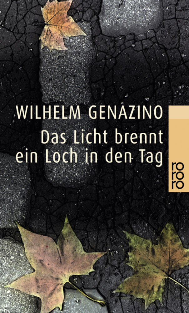 Cover: 9783499226946 | Das Licht brennt ein Loch in den Tag | Wilhelm Genazino | Taschenbuch