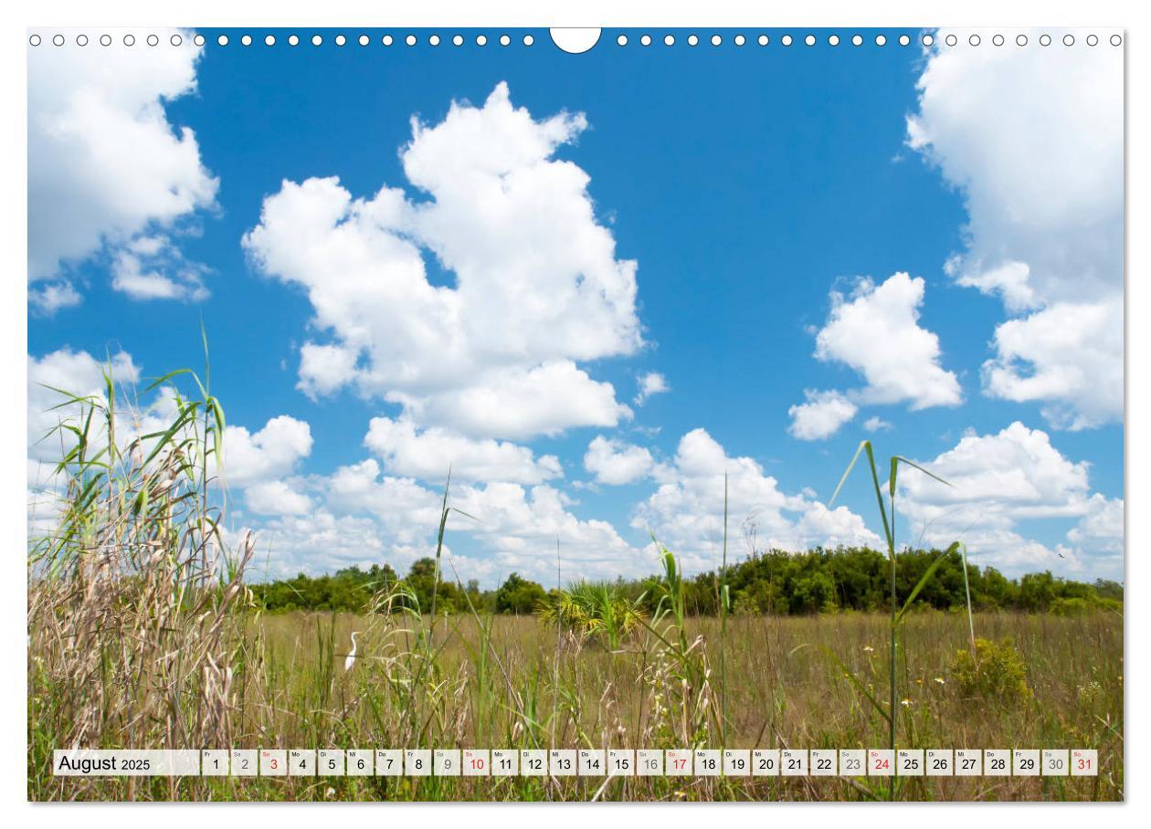 Bild: 9783435819966 | FLORIDA Malerischer Sonnenscheinstaat (Wandkalender 2025 DIN A3...