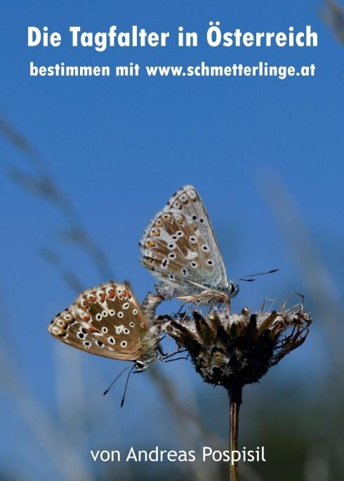 Cover: 9783990846353 | Die Tagfalter Österreichs bestimmen | mit www.schmetterlinge.at | Buch