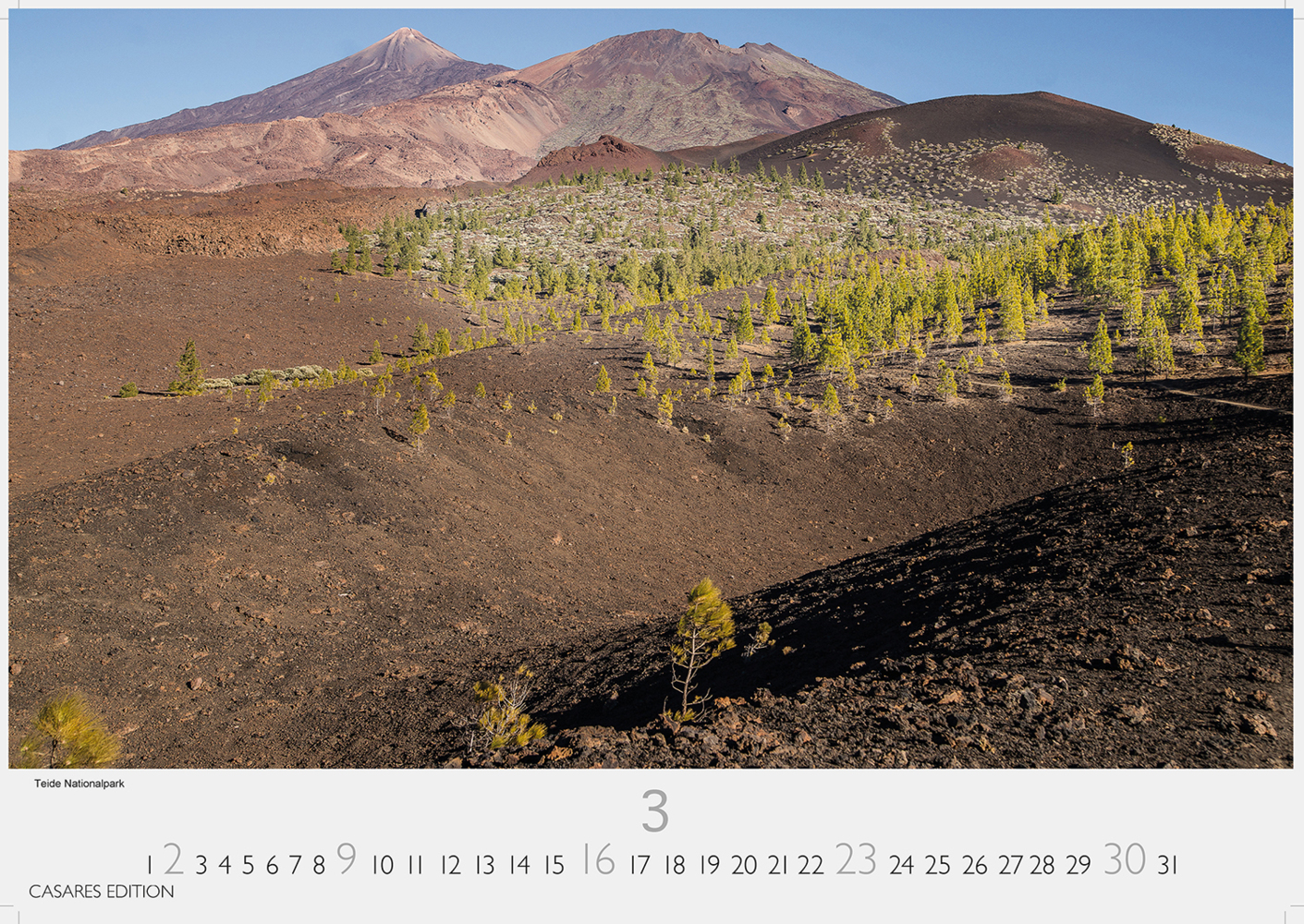 Bild: 9781835240410 | Teneriffa 2025 S 24x35 cm | Kalender | 14 S. | Deutsch | 2025