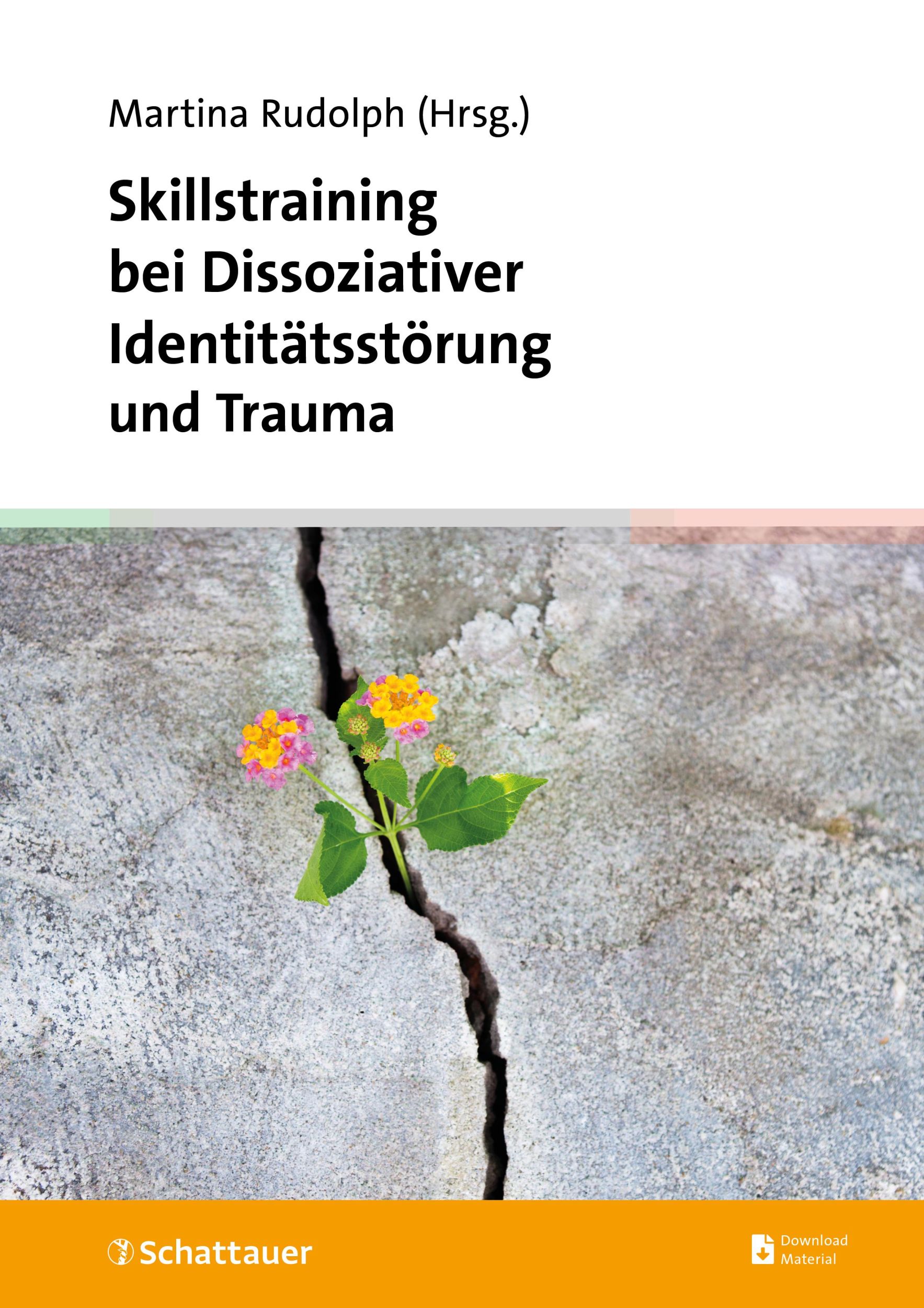 Cover: 9783608401905 | Skillstraining bei Dissoziativer Identitätsstörung und Trauma | Buch