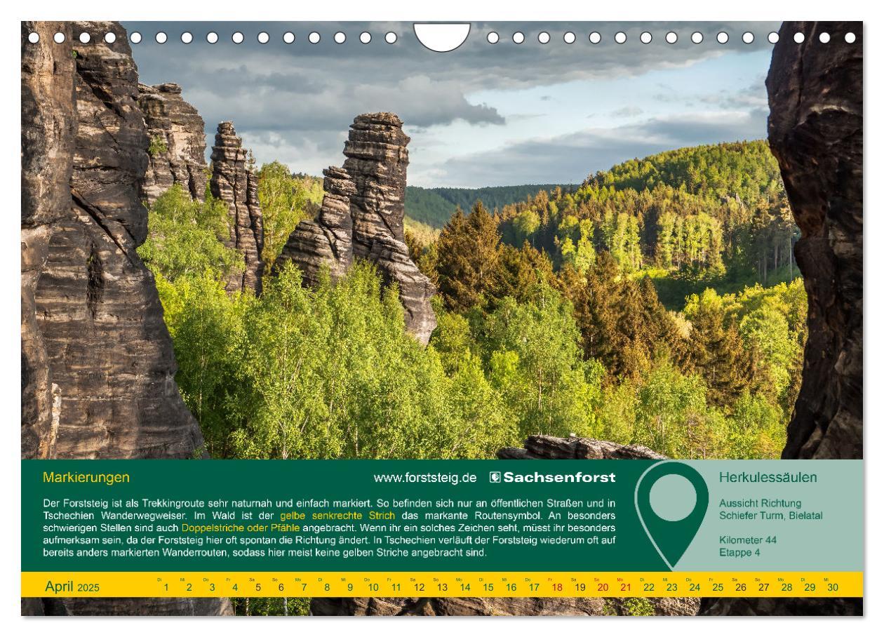 Bild: 9783383919145 | Erlebnis Forststeig Elbsandstein (Wandkalender 2025 DIN A4 quer),...