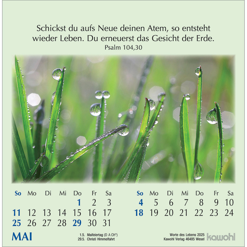 Bild: 9783754890059 | Worte des Lebens 2025 | Kalender | Spiralbindung. Spiralbindung | 2025