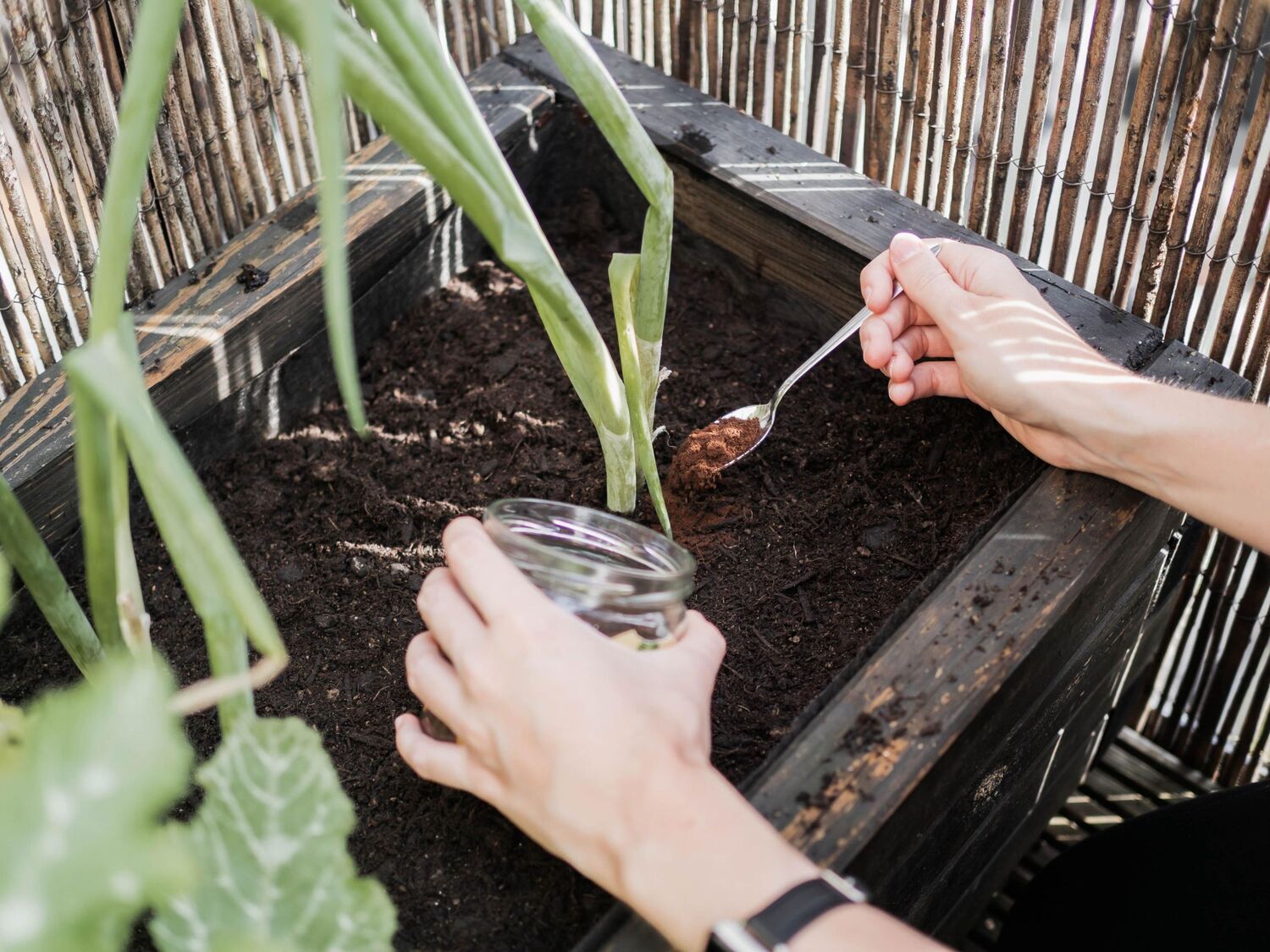 Bild: 9783735852373 | Rethink Garten. Bewusst pflanzen, umweltschonend düngen, naturnah...