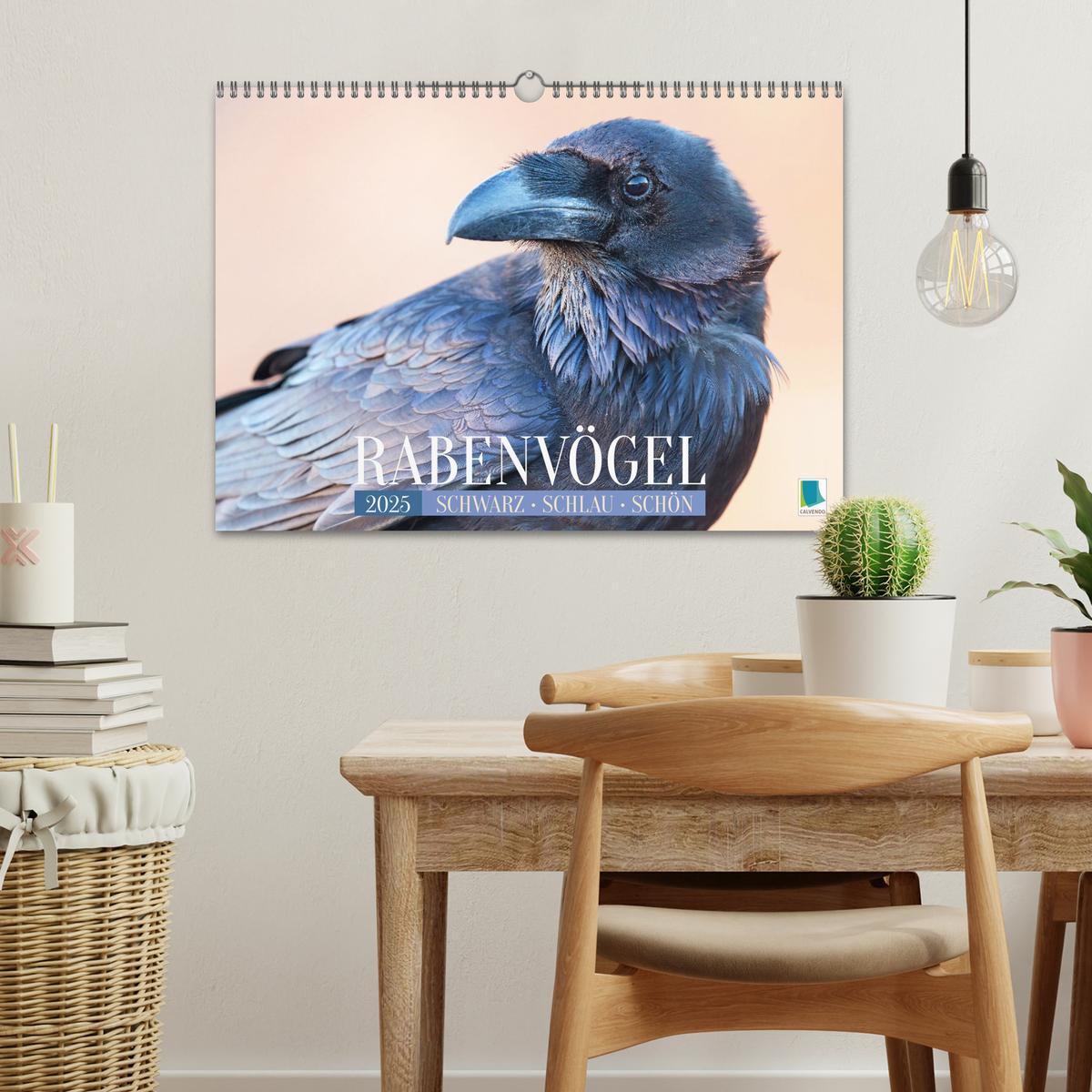 Bild: 9783383776632 | Rabenvögel: Schwarz, schlau, schön (Wandkalender 2025 DIN A3 quer),...